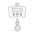 Crane Scale