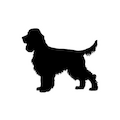 Medium Breeds