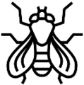 Μύγες