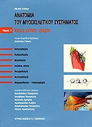 Ανατομία του μυοσκελετικού συστήματος