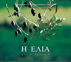 The Olive in Greece