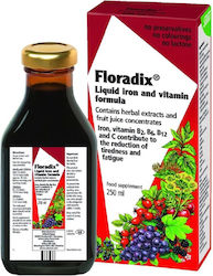 Salus Haus Floradix Liquid Iron Formula 250ml