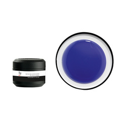 Peggy Sage PRO 3.1 Gel Transparent