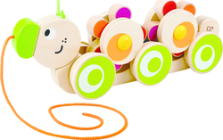 Hape Walk-A-Long Caterpillar