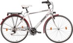 Speed Passeo 28"