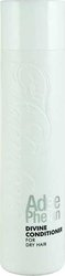 Adee Phelan Divine Conditioner 250ml