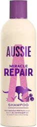 Aussie Repair Miracle Shampoo 300ml