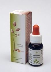 Adama Salvia 30ml