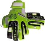 Stema 52998