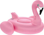Floatie Kings Flamingo Pink & Big