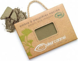 Couleur Caramel Pearly Eye Shadow 107 Banana Leaves