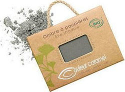 Couleur Caramel Eye Shadow 146