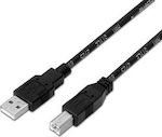 Aisens USB 2.0 Cable USB-A male - USB-B male 3m (A101-0007)