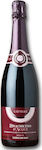 Terre Da Vino Gattera Brachetto d’Acqui DOCG Ερυθρό 750ml