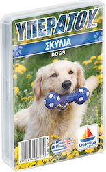 Υπερατού Σκυλιά 6+ Години Desyllas