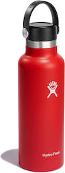 Hydro Flask Standard Mouth Thermos Bottle Goji 710ml