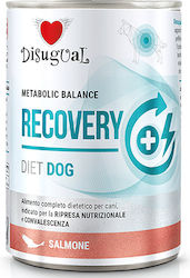 Disugual METABOLIC BALANCE RECOVERY 400гр