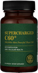 Global Healing Supliment alimentar special 30 capace