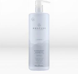 Paul Mitchell Awapuhi Wild Ginger Hydrate 1000ml