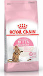 Royal Canin Sterilised Ξηρά Τροφή για Ανήλικες Γάτες 0.4kg