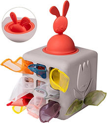 Taf Toys Αισθητηριακά Pop Up Tissue Box για 12+ Μηνών