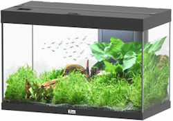 Aquatlantis Splendid 146lt