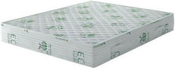 Chic Strom Pure Bio Chic Plus Единичен 100x190x21см