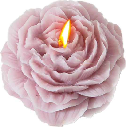 Alista Home Aromatic Rose Candles