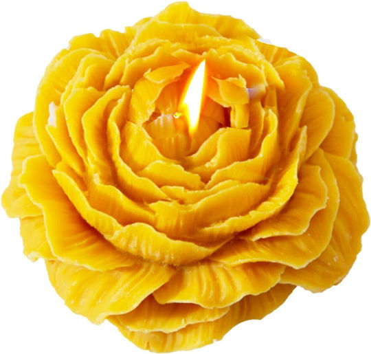 Alista Home Aromatic Rose Candles