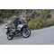 nektariosprasidis