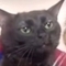 Georgios Perdikouris