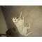Anna_T22