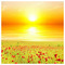 Kyriakos_Patoucheas