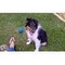 Maria_Theodosiou33