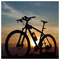 JustSport8888