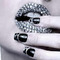 stella_tarama