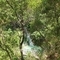 Dimitris_Shur