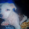 Nick_Srds