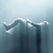 Andreas_Ref__Bonandre_