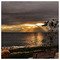 reacarry