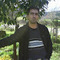 mixalhs_flas