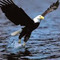 Fotini_Dagounaki