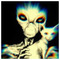 Vsl_Drm