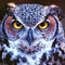 john_smith54