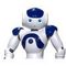 The Robot Girl