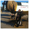 chris.from.greece