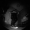 Yannis_Vlachos