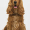 THOMAS_PREVERE
