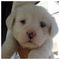 dimi_nath