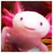 Dominus_Snake
